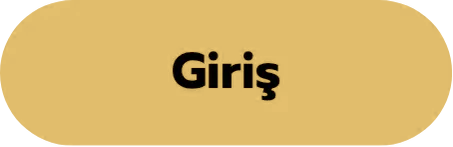 Giriş